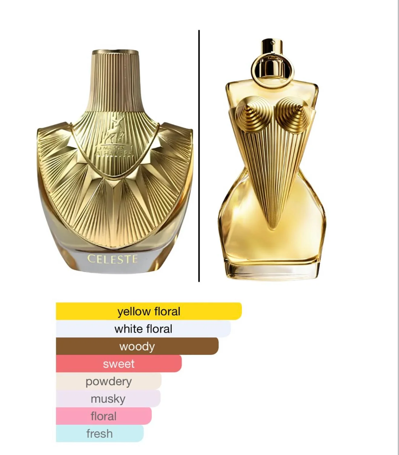 Celeste Maison Alhambra for Men and Women - Image 2